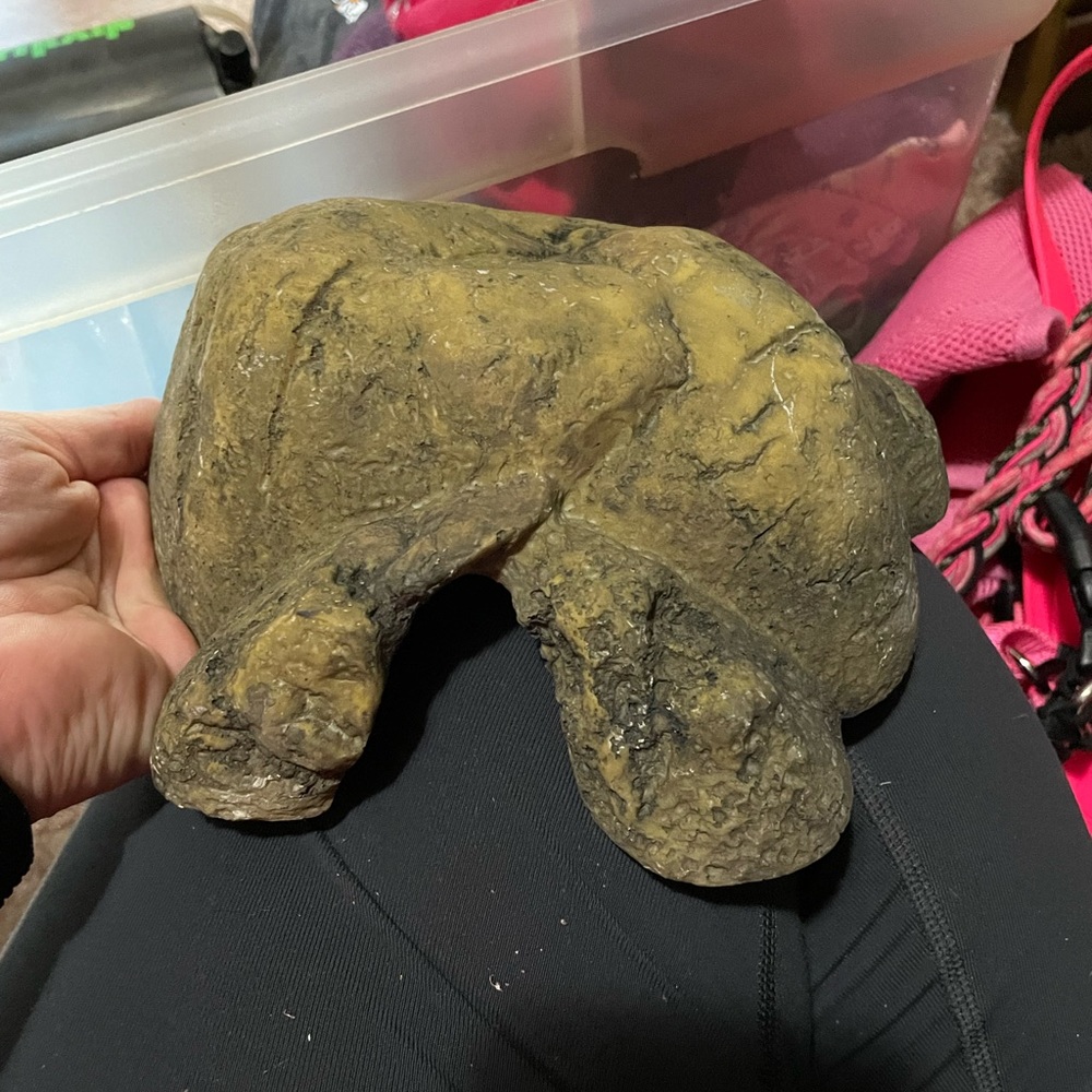 Small rock hide